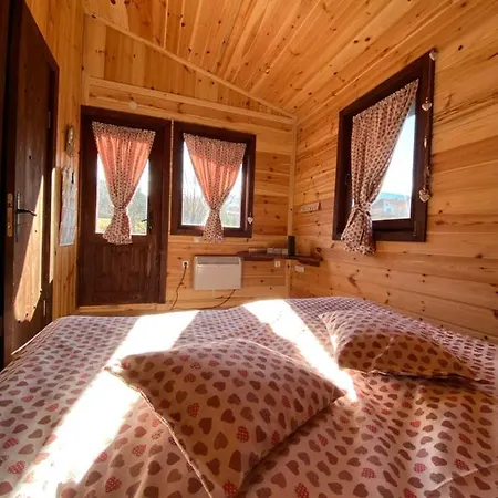 오르벨 도브리니쉬트