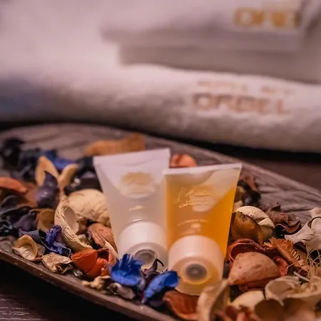 Orbel Отель 4*