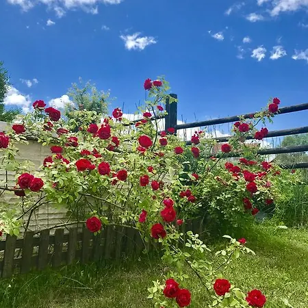 Orbel 4* Dobriniště