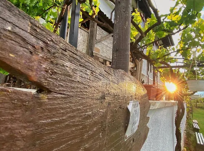 Orbel 4* דוברינישטה