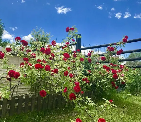 오르벨 4* 도브리니쉬트