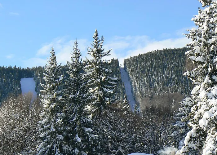 오르벨 도브리니쉬트